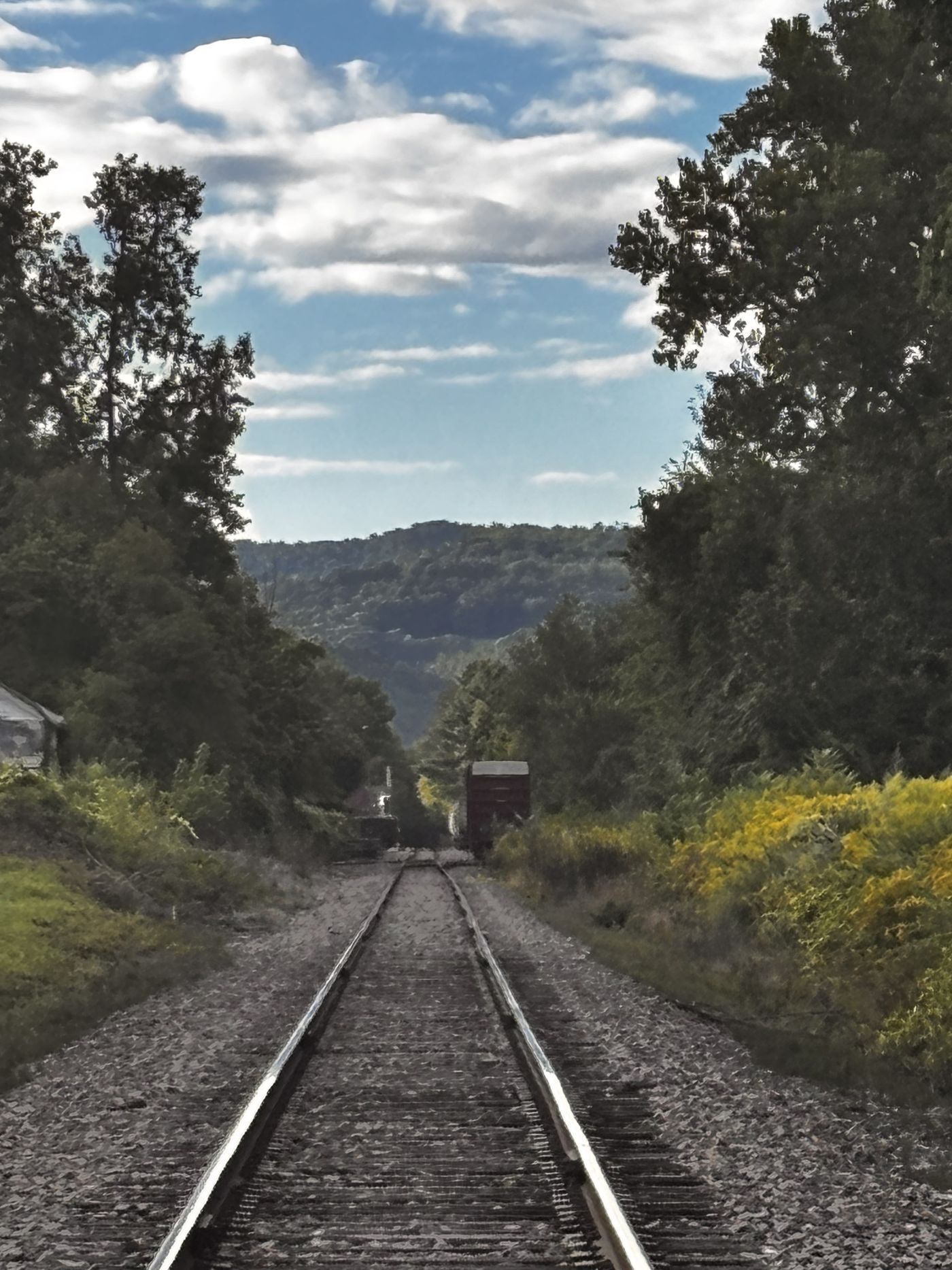 Looking down the single track at Chester toward a red boxcar and wooded hills, goldenrod along the ballast.